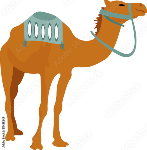 Camel Illustration