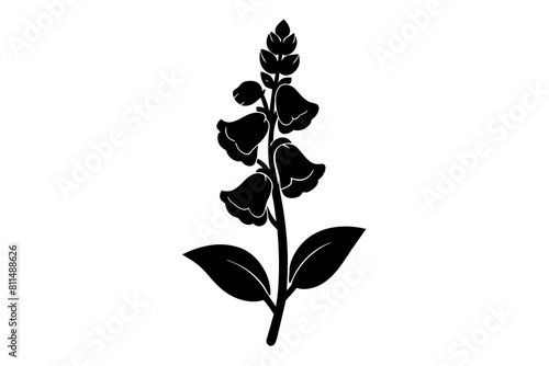 snapdragon flower vector illustration