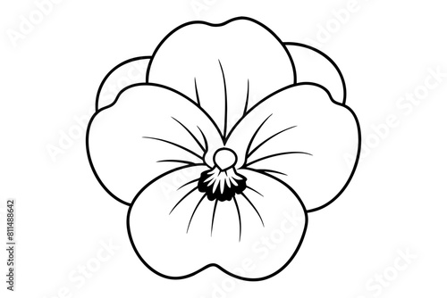 pansy flower vector illustration