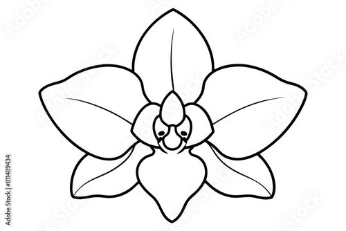 orchid flower vector illustration © CreativeDesigns