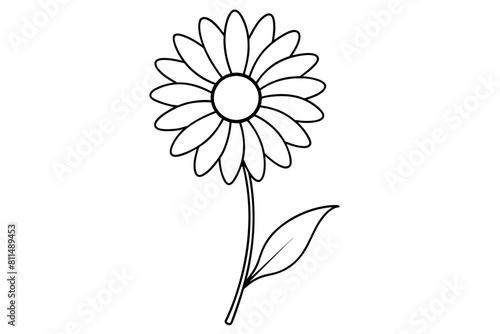 daisy flower vector illustration