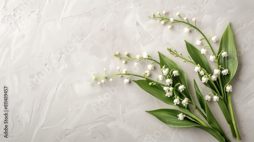 Lily of the Valley Bunch on a Blank Background