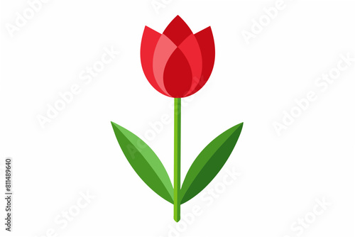 tulip vector illustration