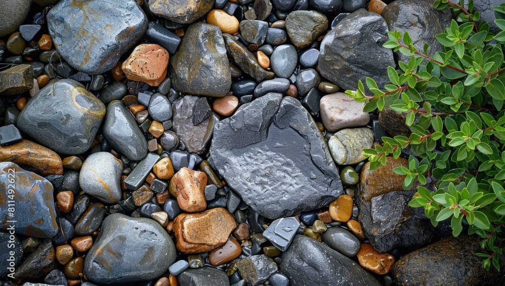 Transform mundane textures into captivating focal points with expert composition. Transform mundane textures into captivating focal points with expert composition.
