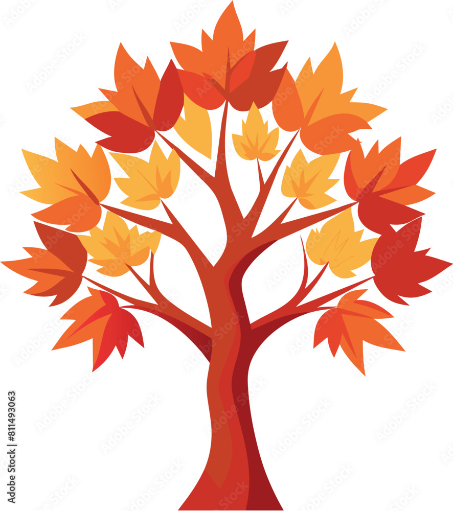 Maple tree illustration, tree iconic for canadian Maple tree illustration, tree iconic for canadian