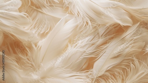 An exquisite close-up shot capturing the soft, velvety texture of beige feathers arranged in a uniform pattern, creating a serene and calming backdrop that exudes elegance and sophistication