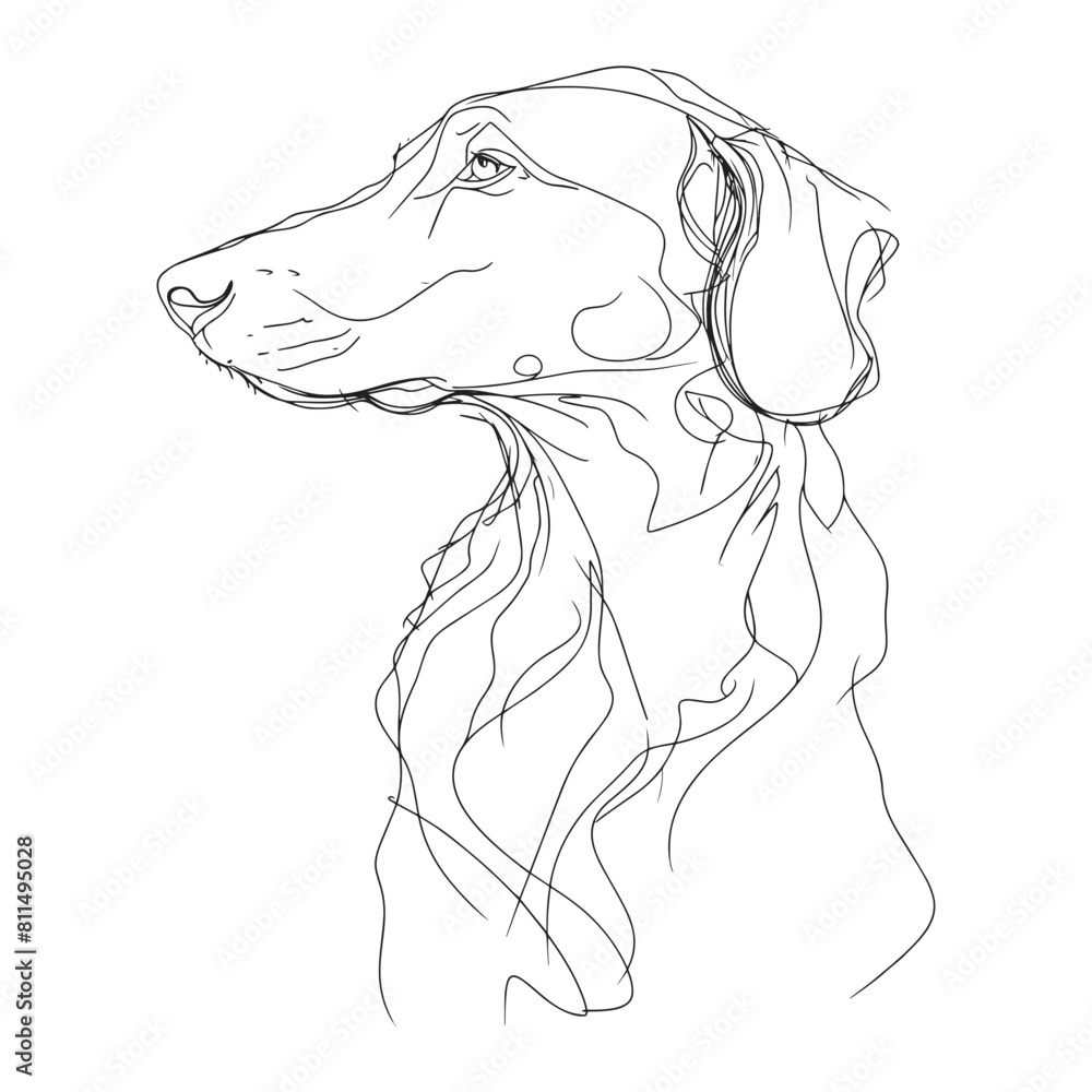 Abstract line drawing series of dog. Isolated one line art style of a borzoi in black outline on a transparent background. Abstract line drawing series of dog. Isolated one line art style of a borzoi in black outline on a transparent background.