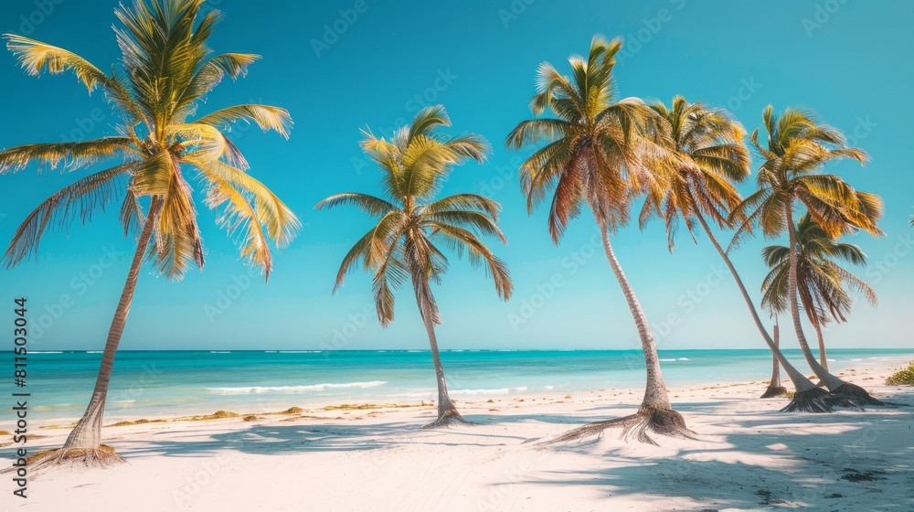 Summer Palms on a Mexican Beach