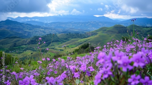 Purple Flowers with Mountainous Valley Backdrop