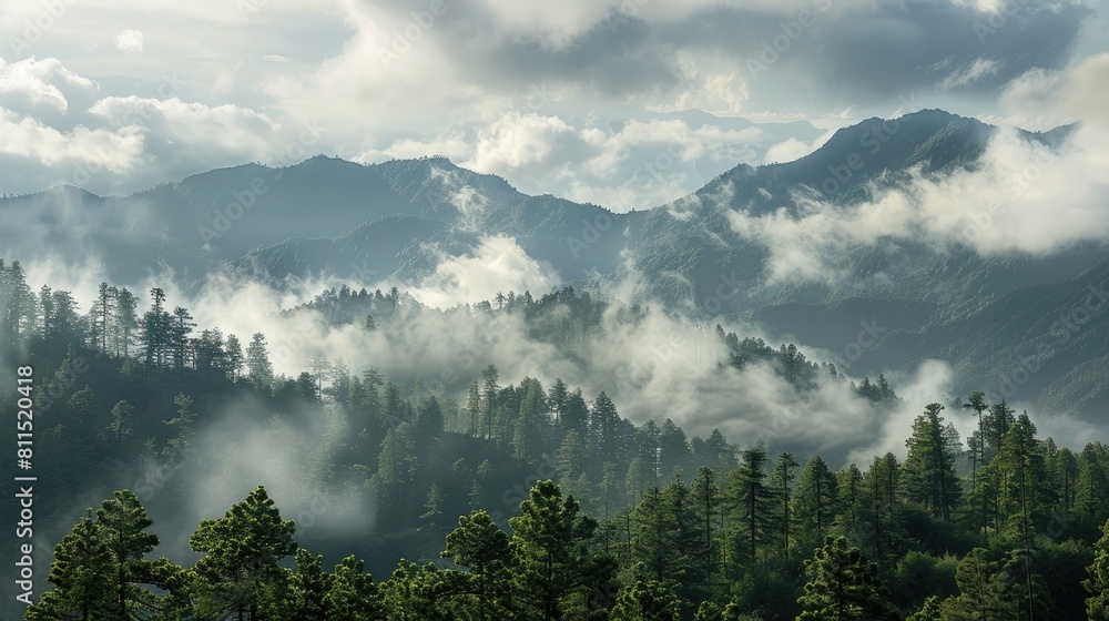 Scenic display of trees mountains and clouds in the natural landscape