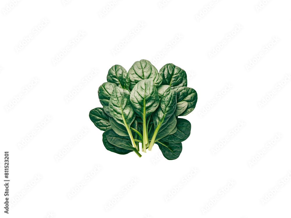 Obraz premium Spinach isolated on a transparent background