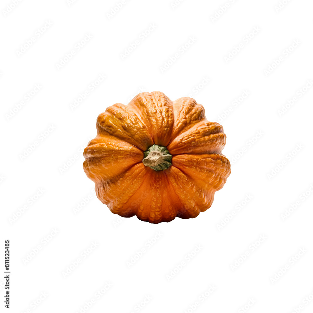 Squash isolated on a transparent background Squash isolated on a transparent background