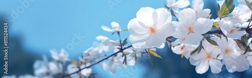 a white flower is in motion with a blue sky