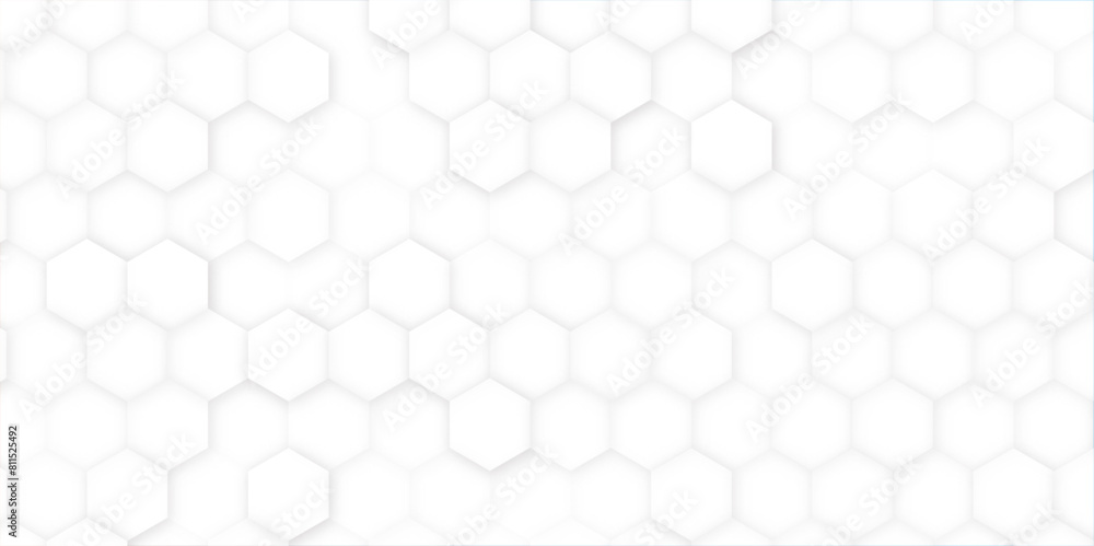 Abstract hexagon on white background. book design, website background. Abstract hexagon on white background. book design, website background.