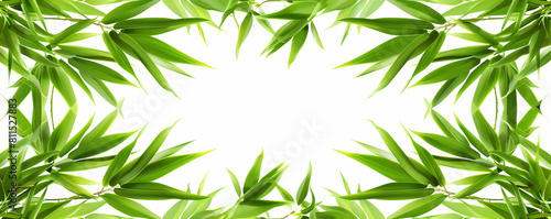 bamboo leaf background with a place for text