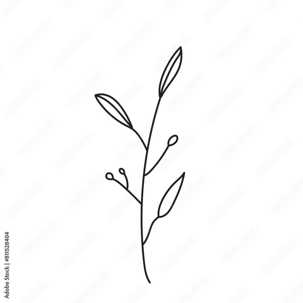 plant, vector, outline, flower, floral, sketch, botanical, illustration, line, herb, leaf, set, design, summer, nature, isolated, blossom, doodle, art, graphic, collection, garden, drawing, spring plant, vector, outline, flower, floral, sketch, botanical, illustration, line, herb, leaf, set, design, summer, nature, isolated, blossom, doodle, art, graphic, collection, garden, drawing, spring