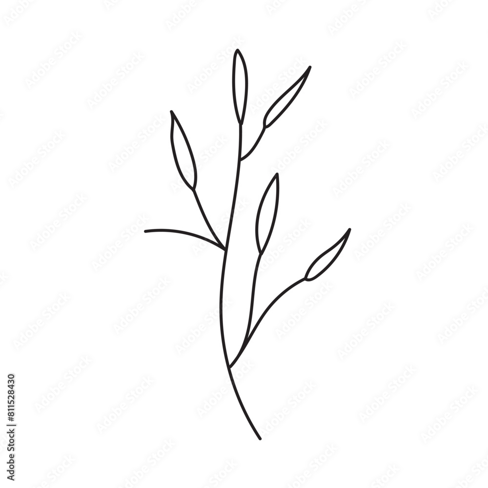 plant, vector, outline, flower, floral, sketch, botanical, illustration, line, herb, leaf, set, design, summer, nature, isolated, blossom, doodle, art, graphic, collection, garden, drawing, spring plant, vector, outline, flower, floral, sketch, botanical, illustration, line, herb, leaf, set, design, summer, nature, isolated, blossom, doodle, art, graphic, collection, garden, drawing, spring