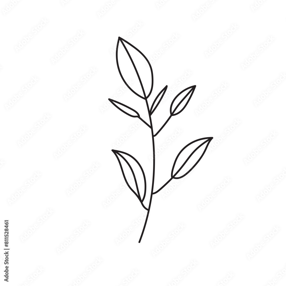 plant, vector, outline, flower, floral, sketch, botanical, illustration, line, herb, leaf, set, design, summer, nature, isolated, blossom, doodle, art, graphic, collection, garden, drawing, spring plant, vector, outline, flower, floral, sketch, botanical, illustration, line, herb, leaf, set, design, summer, nature, isolated, blossom, doodle, art, graphic, collection, garden, drawing, spring