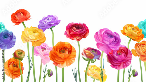 colorful ranunculus flower arrangement featuring purple  pink  yellow  and orange blooms  with green stems  on a isolated background