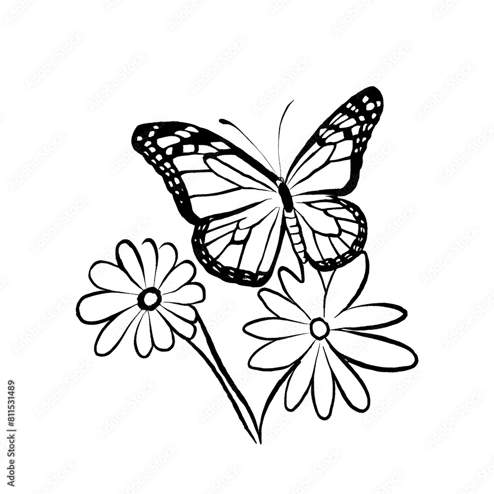 butterfly on flower butterfly on flower