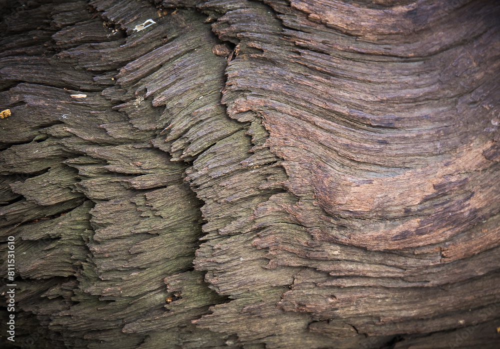 brown wooden texture wall pattern background texture. brown wooden texture wall pattern background texture.