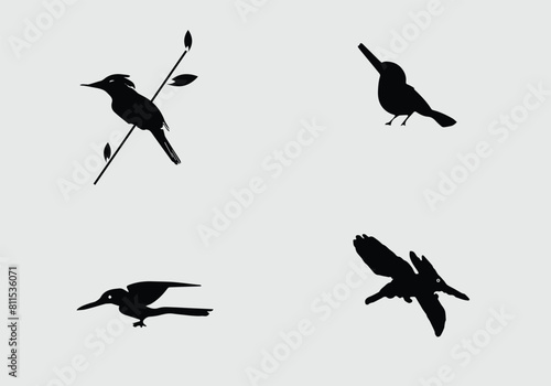 Minimal stylish Belted King fisher icon illustration design