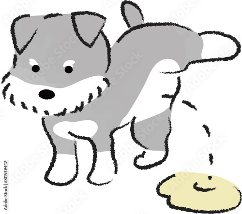 足を上げておしっこをする犬　シュナウザー
