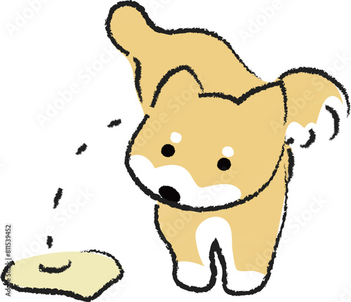 足を上げておしっこをする犬　柴犬