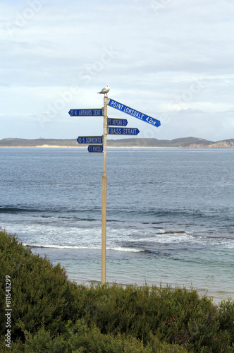 Directional signpost with blue arrows pointing towards Point Lonsdale, Arthurs Seat, Pt Nepean, Bass Strait, Sorrento and Portsea at a beach in Queenscliff, Victoria, Australia photo