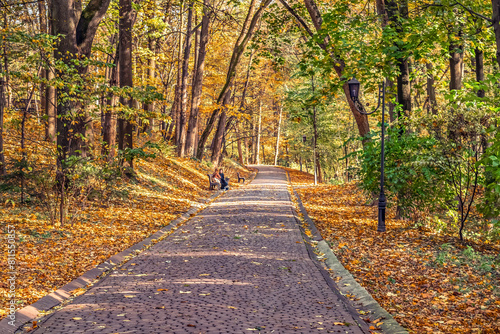 Road with paving slabs in Stryiskyi Park in Lviv on an autumn day, Ukraine. Lots of tall trees around the trail with benches and street lights. The ground is covered with yellow fallen leaves
