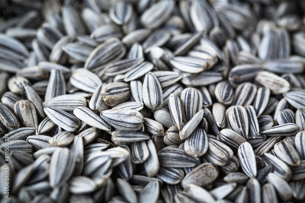 organic sunflower seed for background. Image has shallow depth of field.