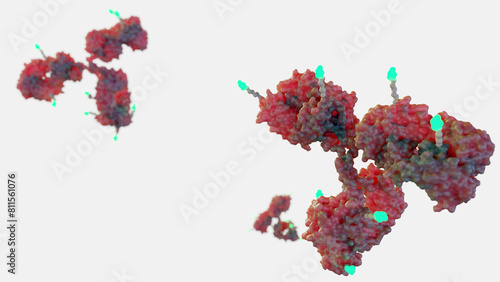 3d rendering of Antibody drug conjugates (ADCs) are targeted medicines that deliver chemotherapy agents to cancer cells photo