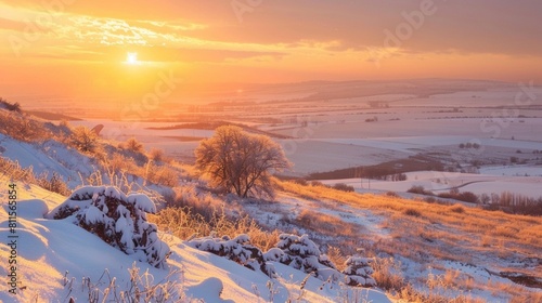 beautiful winter landscape in golden sunset light, Dobrogea, Romania photo
