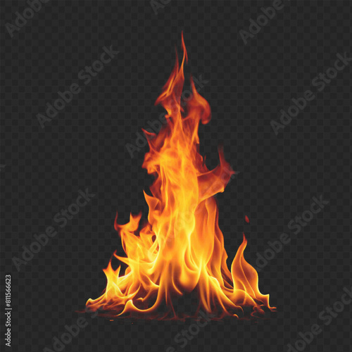 Fire on a transparent background. Abstract fire vector illustration, energy of flames.
