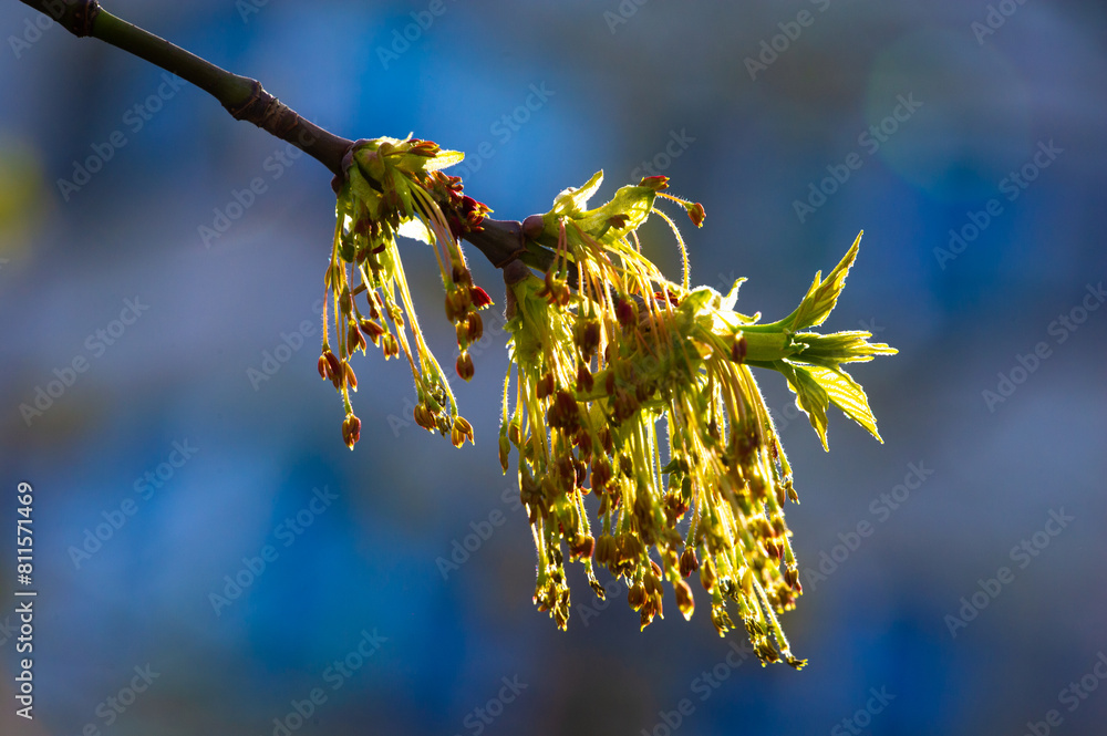 Beautiful and bright photographs of nature. Capture the delicate beauty ...