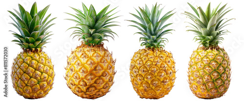set of four pineapple fruit on transparent background photo