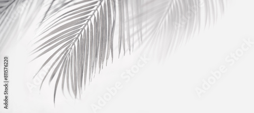 Abstract blur of tropical leaves pattern background.luxury palm leaf design with shadow.nature concepts ideas