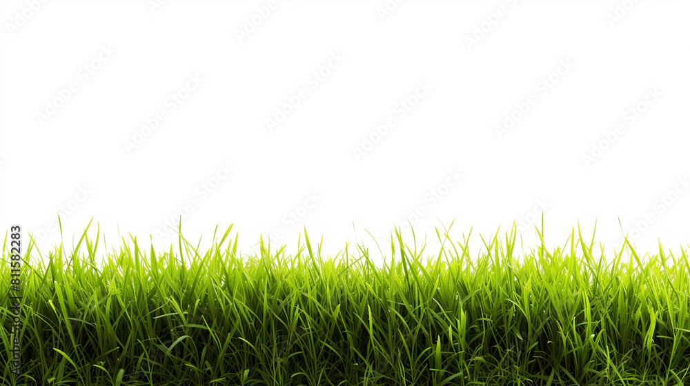Fototapeta premium Lush green grass on a white background, symbolizing growth or eco-friendly concepts. Generative AI