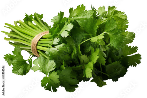 Fresh cilantro adds a bright, citrusy flavor to your favorite dishes. It is also known as coriander and is a popular herb in Mexican, Indian, and Southeast Asian cuisine.
