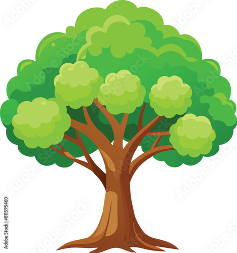 Elm Tree Botanical vector art  elm tree illustration