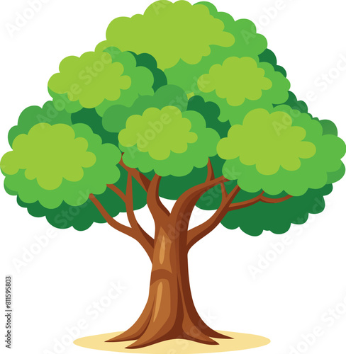 Elm Tree Botanical vector art  elm tree illustration