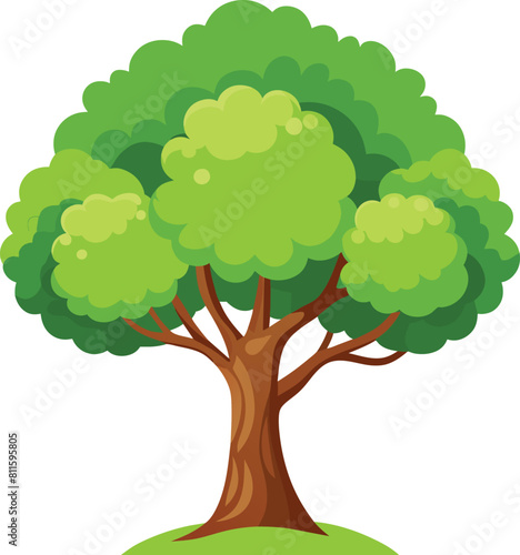 Elm Tree Botanical vector art  elm tree illustration