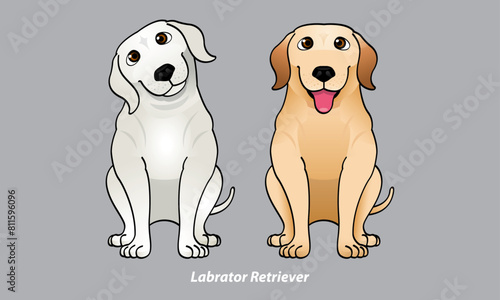 Vector of a cute Labrador. With 2 color options. Vector.