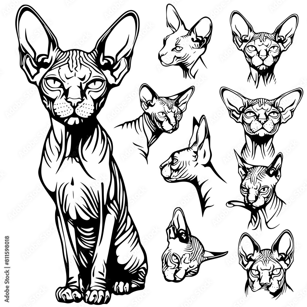 cat vector, line art cat, cat outline, cat svg, cat png, cat ...