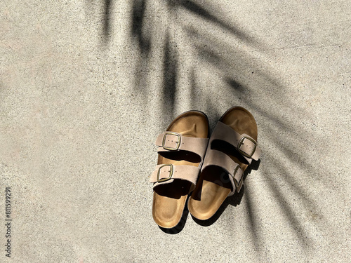 Taupe Buckled Sandals with Palm Tree Shadow Outside