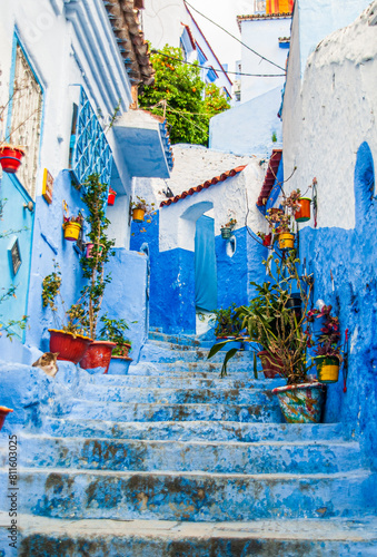Beautiful moroccan blue streets in Chefchaouen. Bue city in Morocco with blue walls, architectural details, colorful flower pots and household items