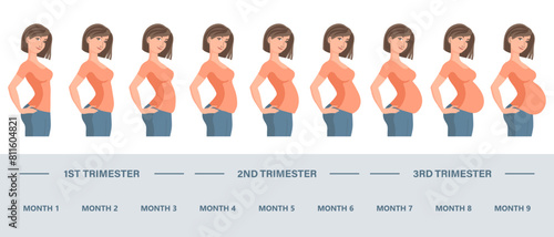 Young pregnant woman set. Fetal growth at different stages of pregnancy, monthly period. Illustration, vector.