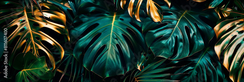 Luminous gold and green monstera leaves. Abstract tripical luxury background for resort hotel decoration photo