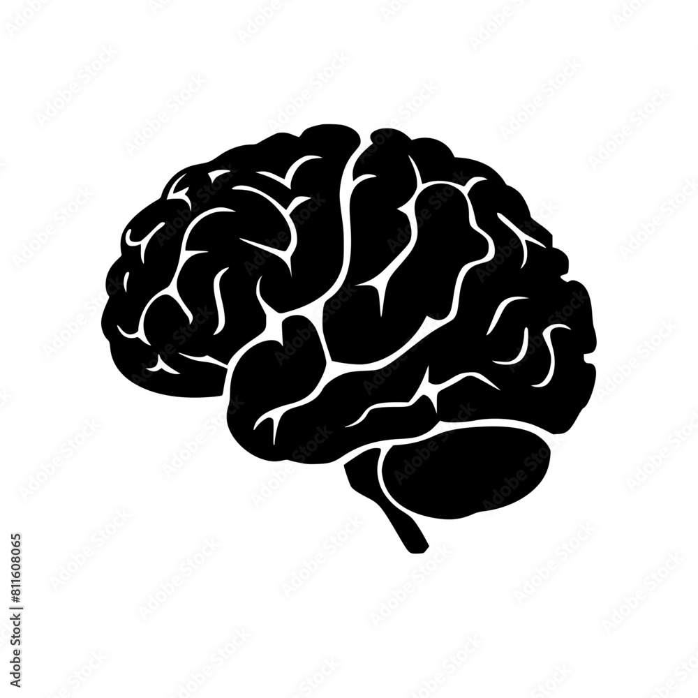 Brain svg, human brain svg, brain png, brain clipart, mental health svg, floral brain svg, brain silhouette, medical svg, flower brain svg, Brain SVG Bundle, Brain SVG, Brain PNG, Brain Clipart, Brain Brain svg, human brain svg, brain png, brain clipart, mental health svg, floral brain svg, brain silhouette, medical svg, flower brain svg, Brain SVG Bundle, Brain SVG, Brain PNG, Brain Clipart, Brain