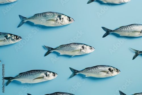 A dynamic image showing a pattern of silver fish on a fresh, bright blue background, creating an abstract marine vacation concept